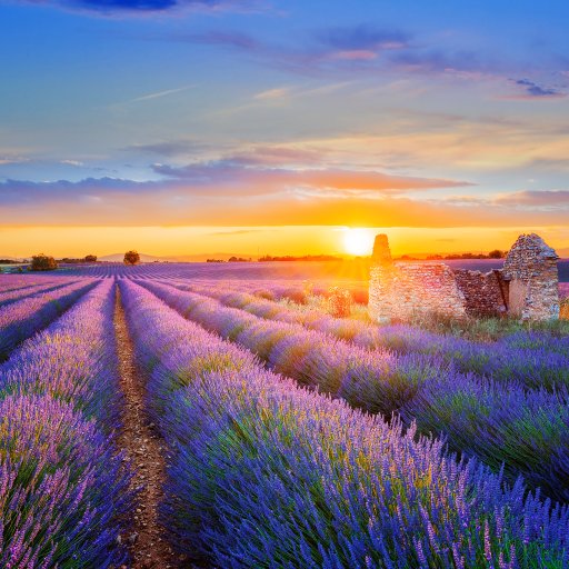 8 Tage Rhone Flusskreuzfahrt LyonArlesLyon BIJOU DU RHONE