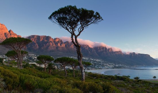 Nach Südafrika Kapstadt mit nicko cruises Weltreise Seereise Etappe 1 Camps Bay