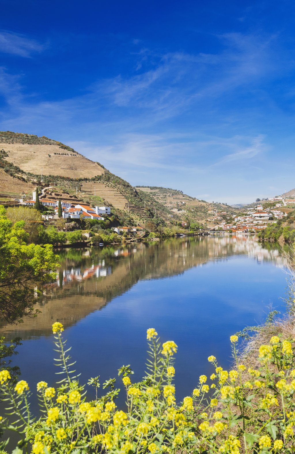 River cruises - book online | nicko cruises