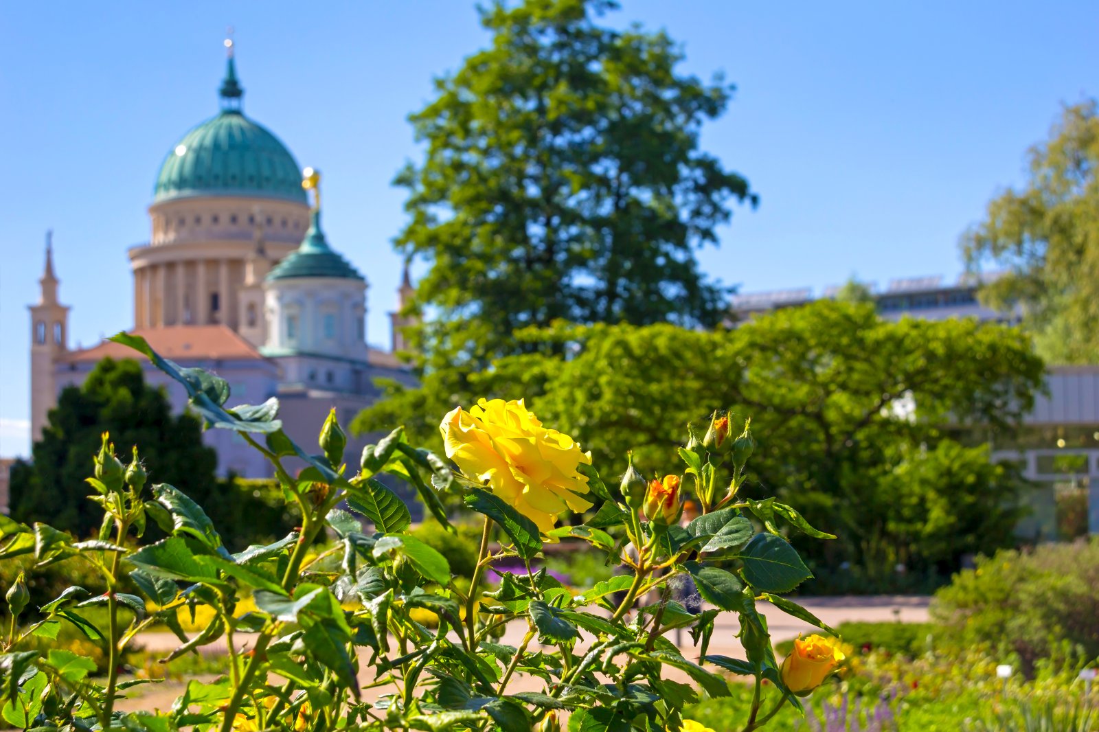 Potsdam Hauptstadt Brandenburgs Magazin nicko cruises