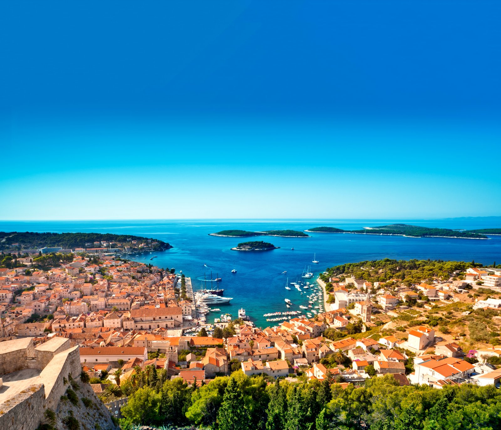 Dalmatian coasts