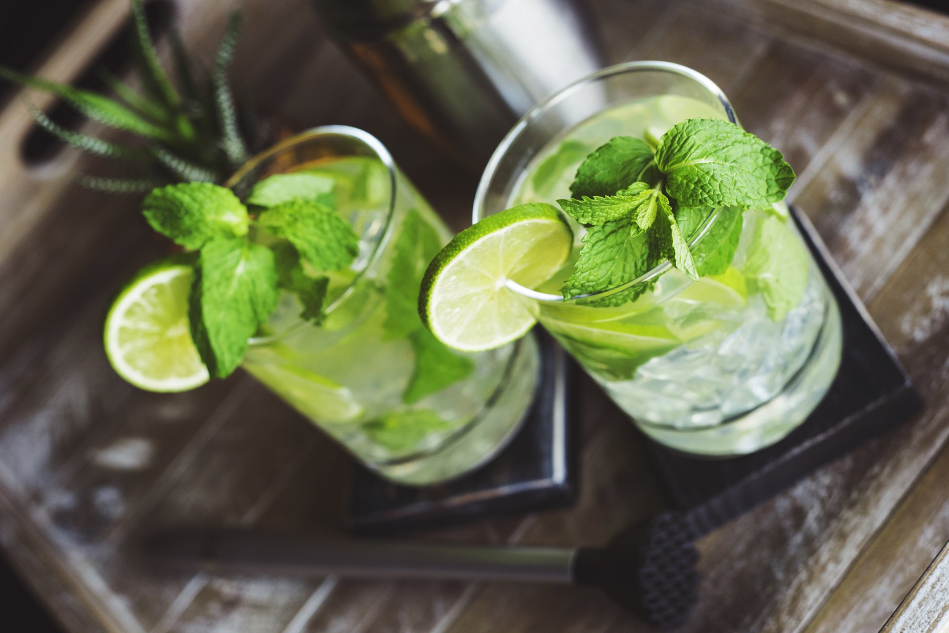 Mojito Magazin nicko cruises